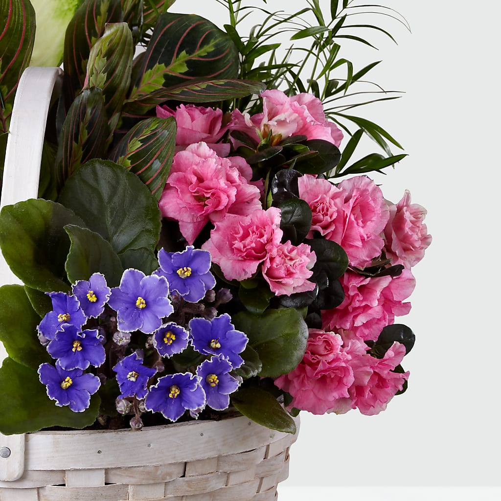 Peaceful Garden Planter – Gutierrez Flowers, Sylmar CA