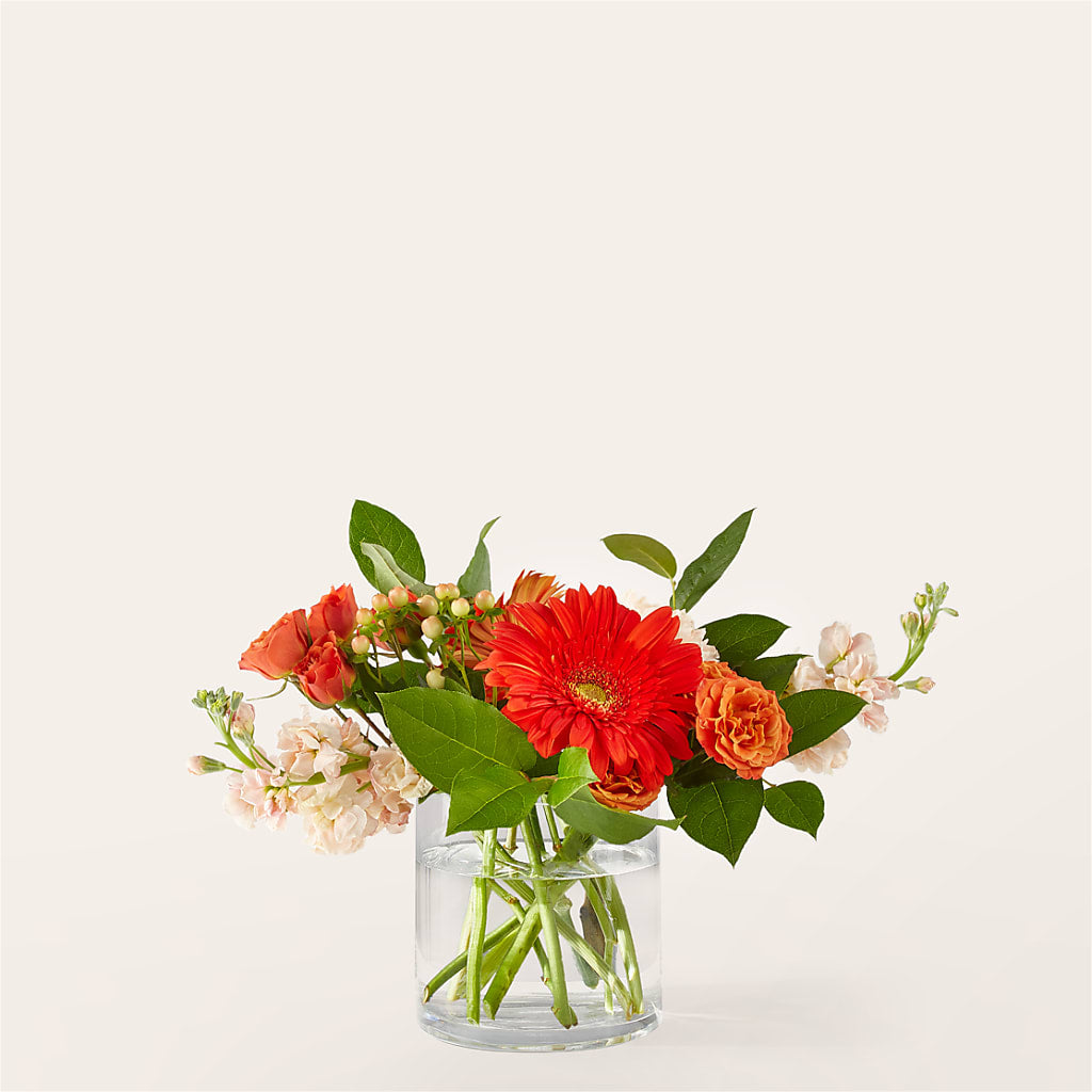 Paloma Please Bouquet – Gutierrez Flowers, Sylmar CA