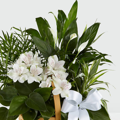 Peace & Serenity Dishgarden –  Gutierrez Flowers, Sylmar CA