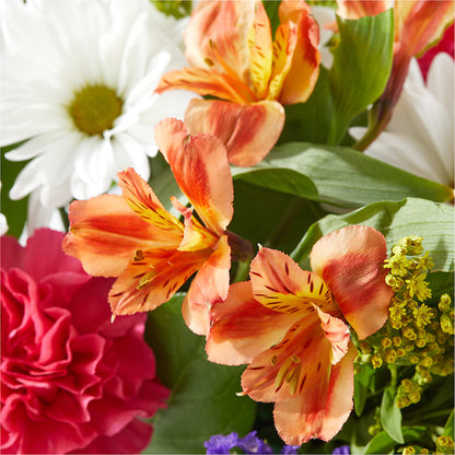 Oopsie Daisy Box Bouquet –  Gutierrez Flowers, Sylmar CA