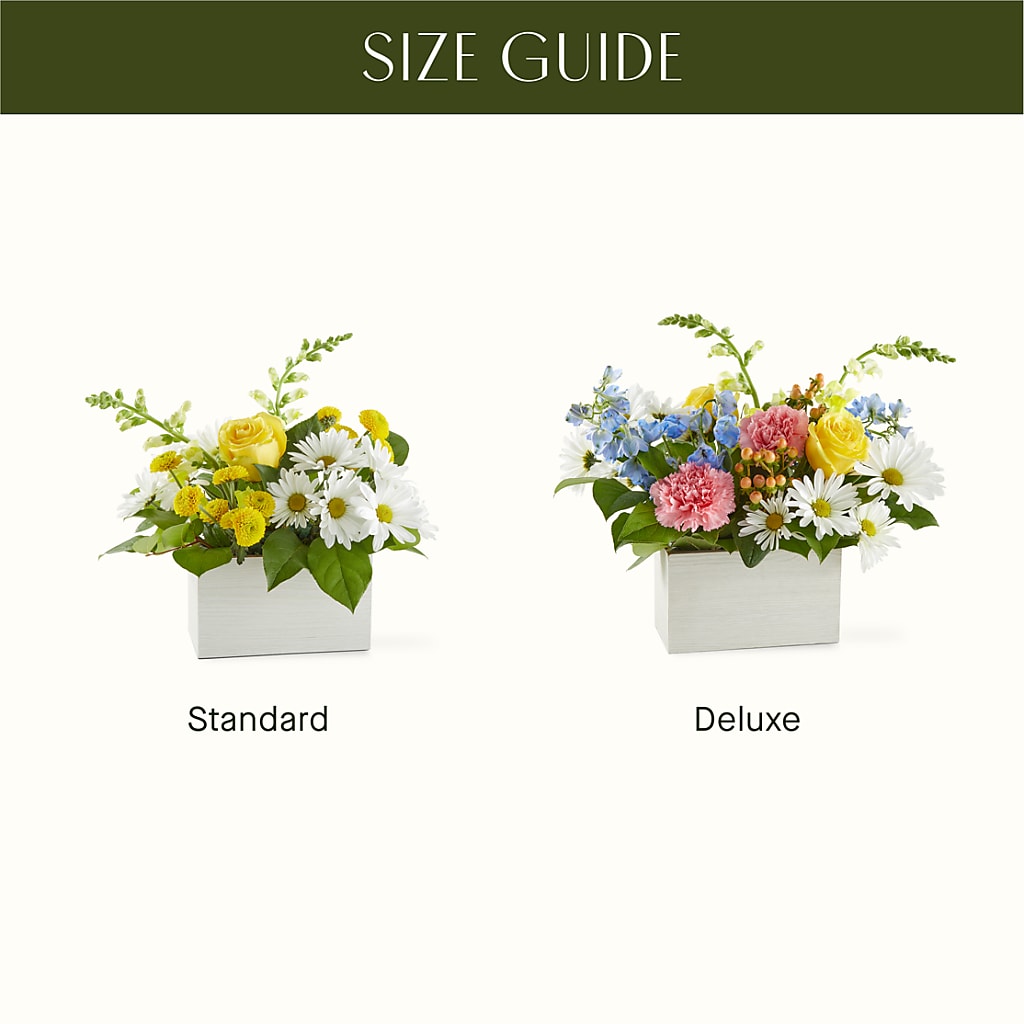 Sun Salutation Box Bouquet –  Gutierrez Flowers, Sylmar CA