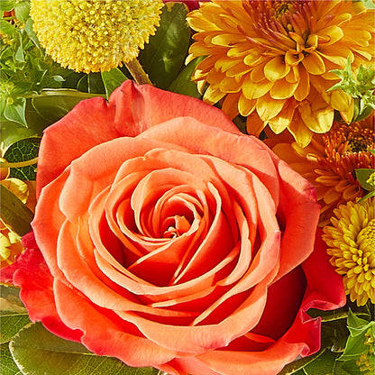 Gourdgeous Pumpkin –  Gutierrez Flowers, Sylmar CA
