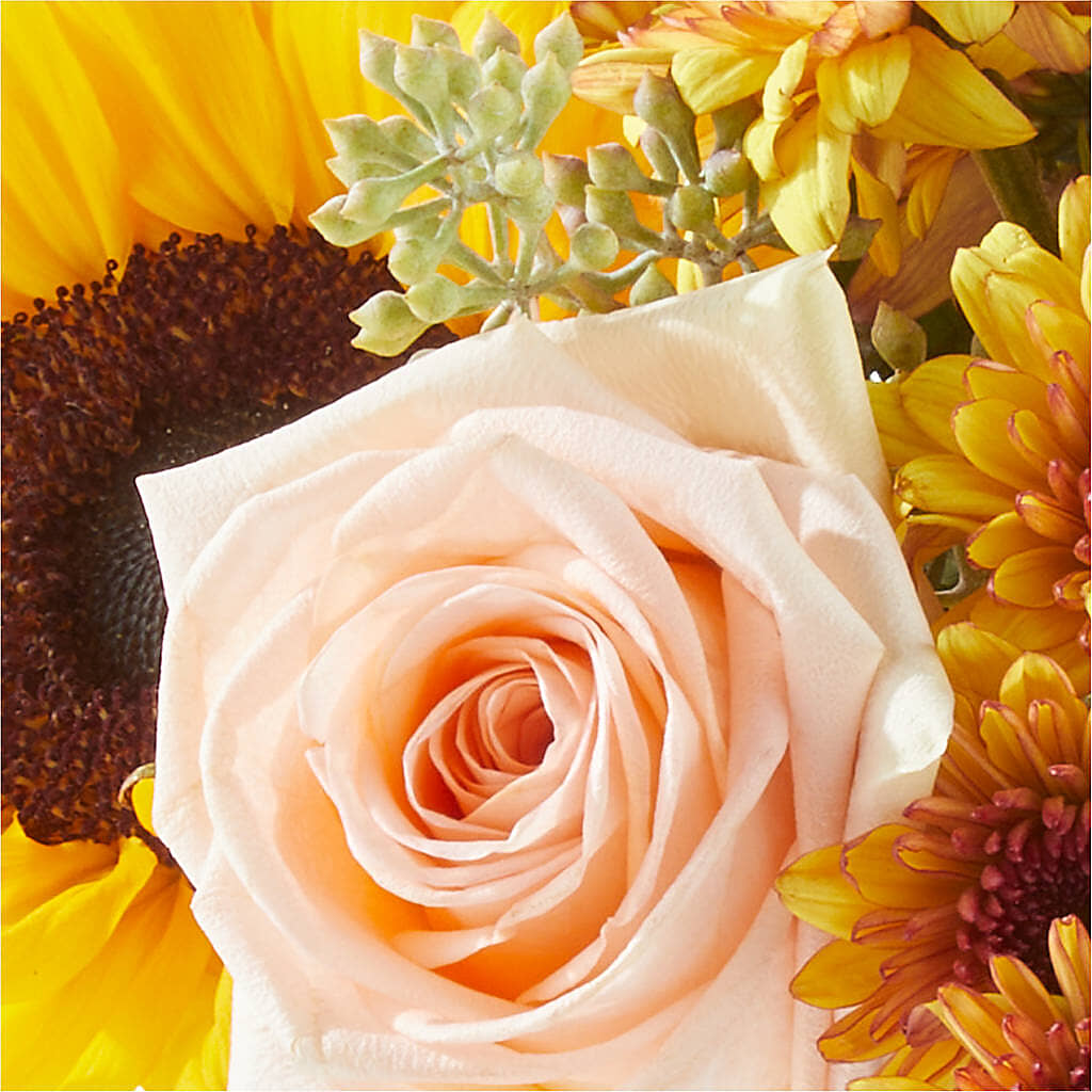 Pumpkin to Talk About Bouquet –  Gutierrez Flowers, Sylmar CA