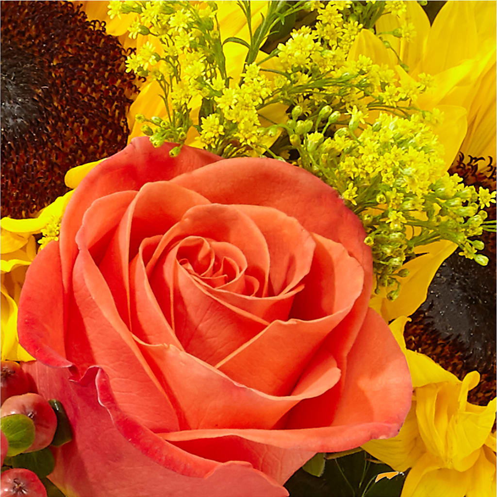 Pick of the Patch Pumpkin Bouquet –  Gutierrez Flowers, Sylmar CA