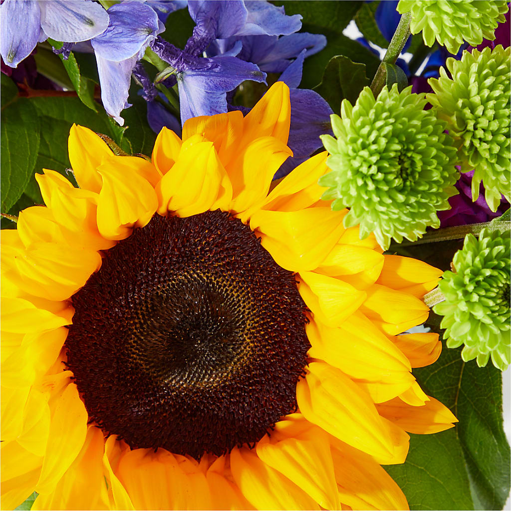 Catching Rays Bouquet –  Gutierrez Flowers, Sylmar CA