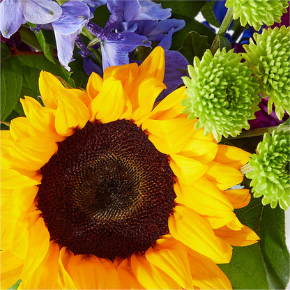 Catching Rays Bouquet –  Gutierrez Flowers, Sylmar CA