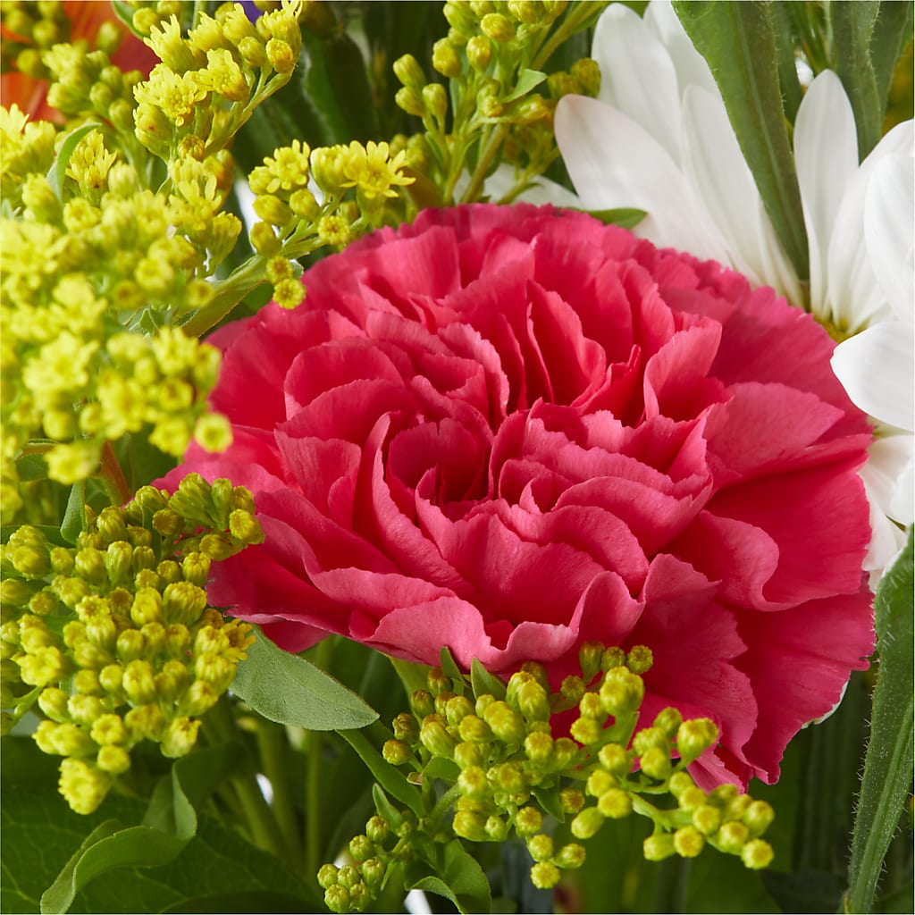 Oopsie Daisy Bouquet –  Gutierrez Flowers, Sylmar CA