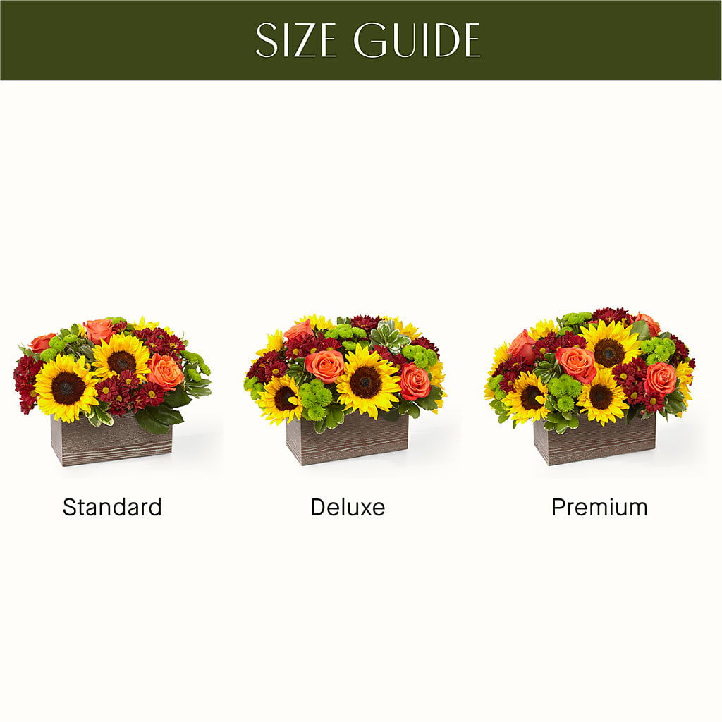 Happy Harvest Garden –  Gutierrez Flowers, Sylmar CA