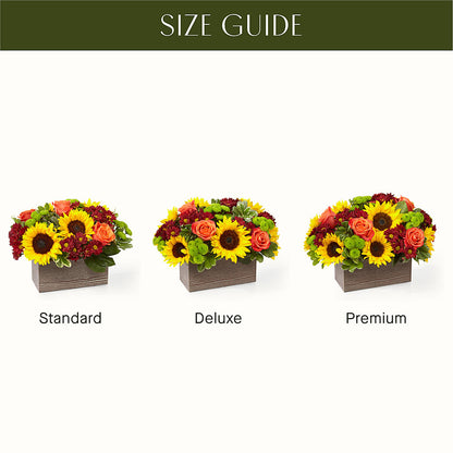 Happy Harvest Garden –  Gutierrez Flowers, Sylmar CA
