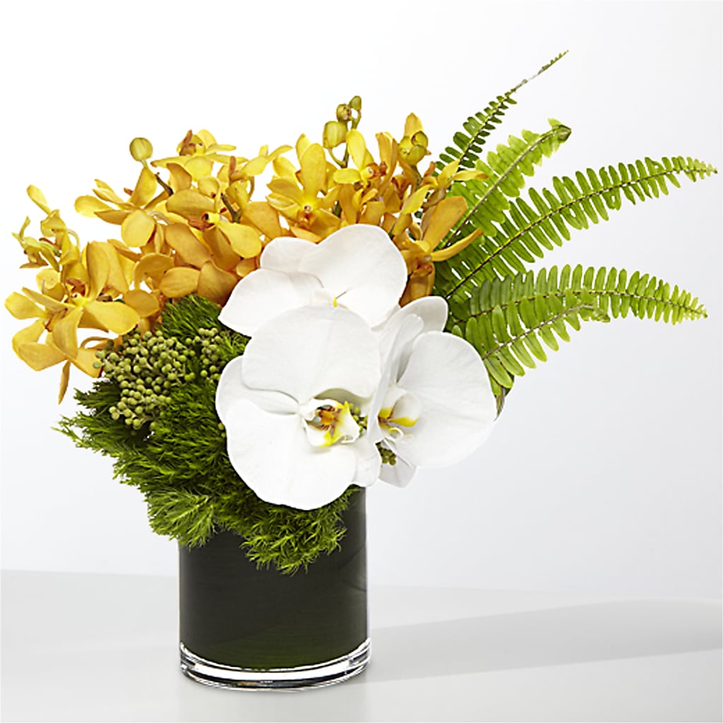 The Tropics –  Gutierrez Flowers, Sylmar CA