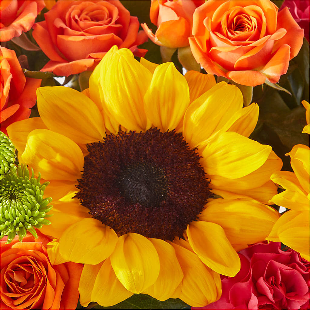 Sun-drenched Blooms Box Bouquet –  Gutierrez Flowers, Sylmar CA