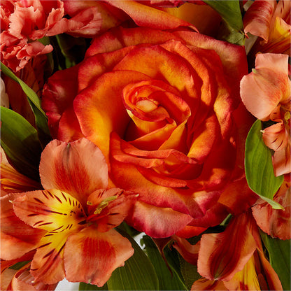 Apricot Glow Bouquet –  Gutierrez Flowers, Sylmar CA