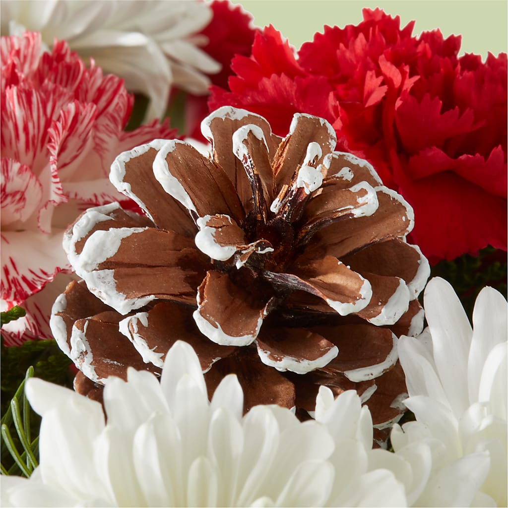 Candy Cane Lane Bouquet –  Gutierrez Flowers, Sylmar CA