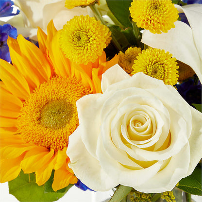 Stargazing Bouquet –  Gutierrez Flowers, Sylmar CA
