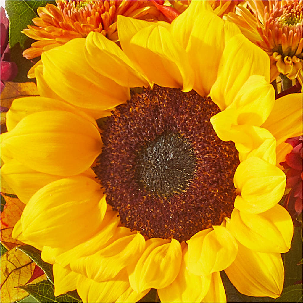 Sunny Side Bouquet –  Gutierrez Flowers, Sylmar CA