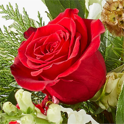 Deck the Halls Bouquet –  Gutierrez Flowers, Sylmar CA