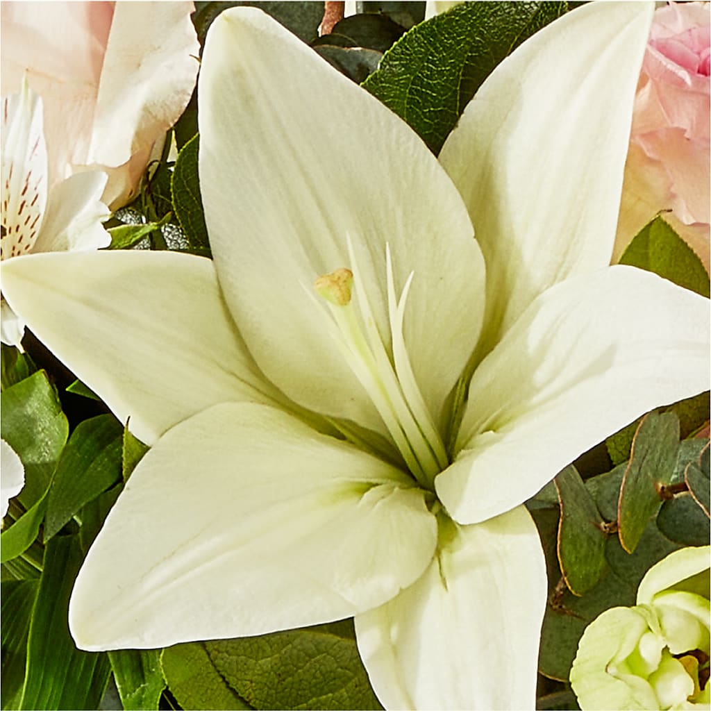 Ballet Slippers Bouquet –  Gutierrez Flowers, Sylmar CA