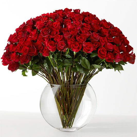 The Idealist –  Gutierrez Flowers, Sylmar CA