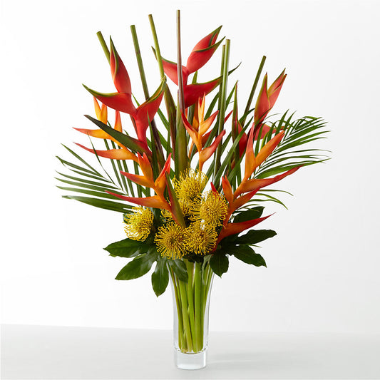 The Drama –  Gutierrez Flowers, Sylmar CA
