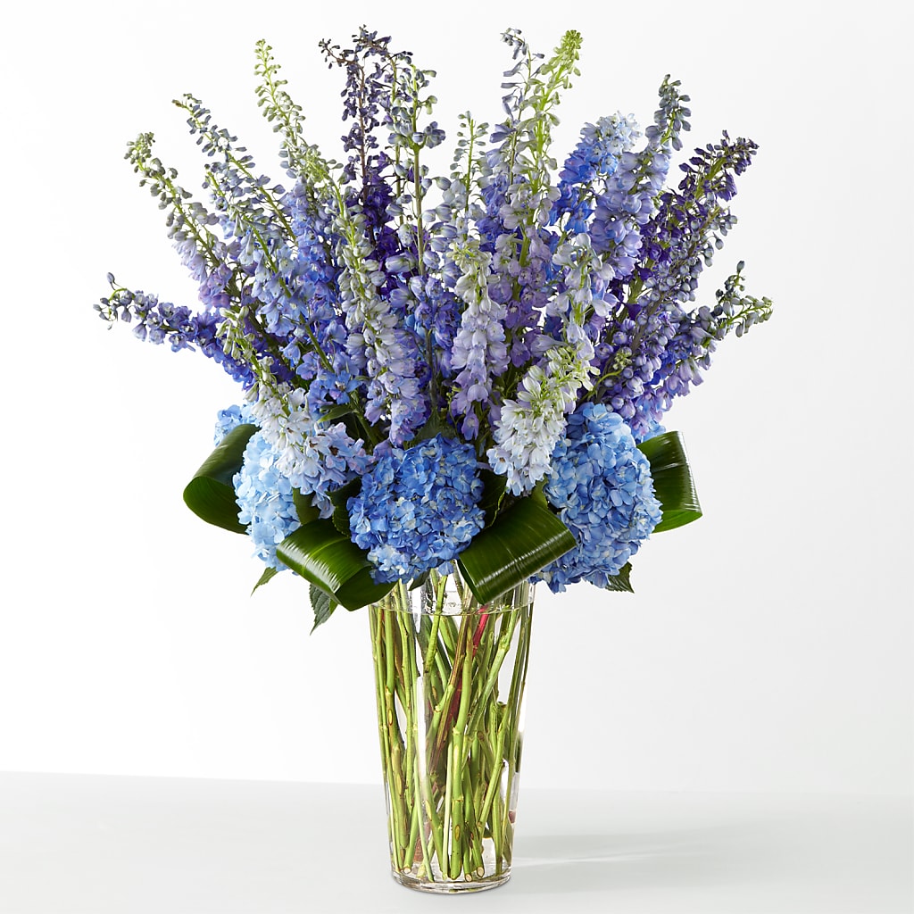 The Editorial –  Gutierrez Flowers, Sylmar CA